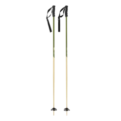 Bâtons De Ski Faction Candide Poles Green