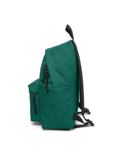 Sac à Dos Eastpak Padded Pak'r Tree Green 9 Sac à Dos Eastpak Padded Pak'r Tree Green -Matériel De Ski Boutique sac a dos eastpak padded pak r tree green 1 3